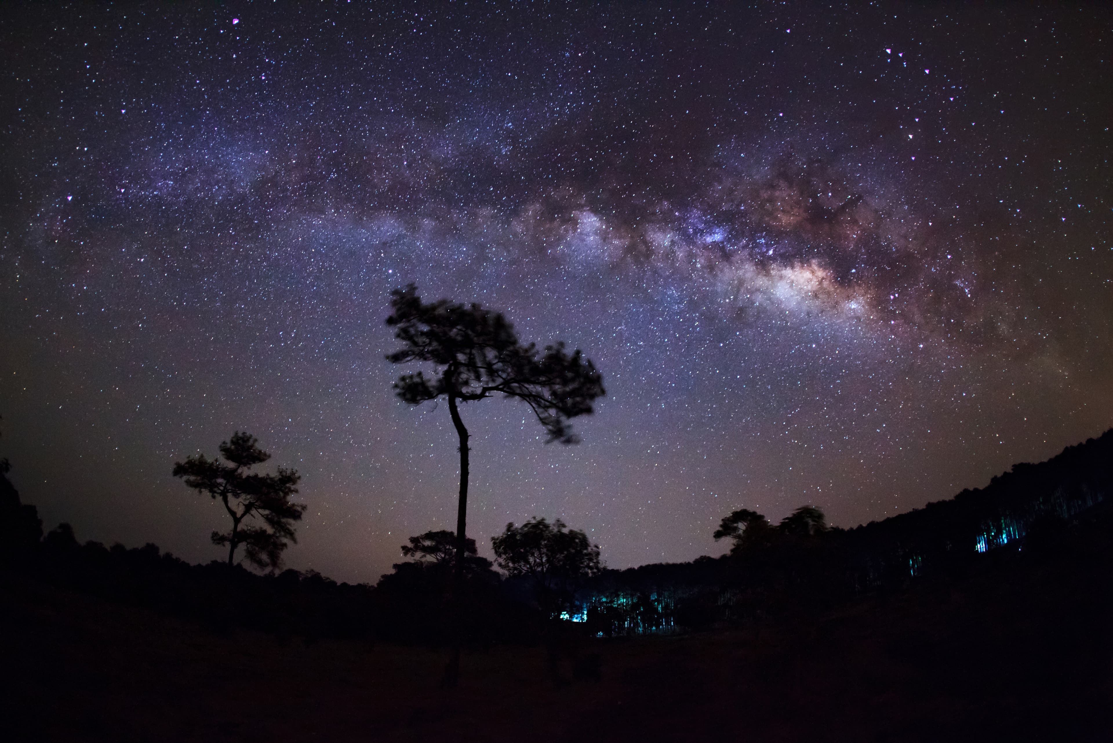 Australian bush at night - personal and team camping retreats in the Larapinta region