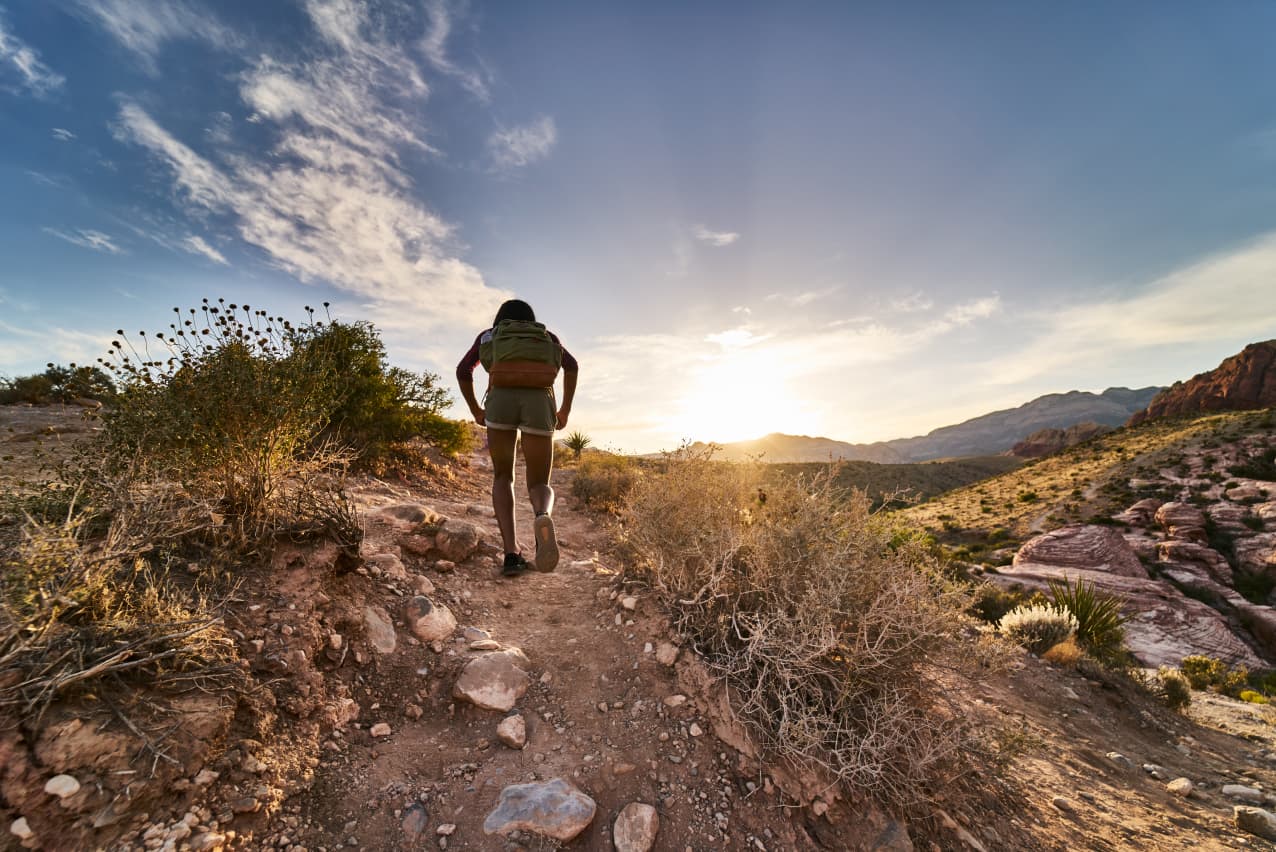 Person hiking trail - Walk along sections of the Larapinta trail