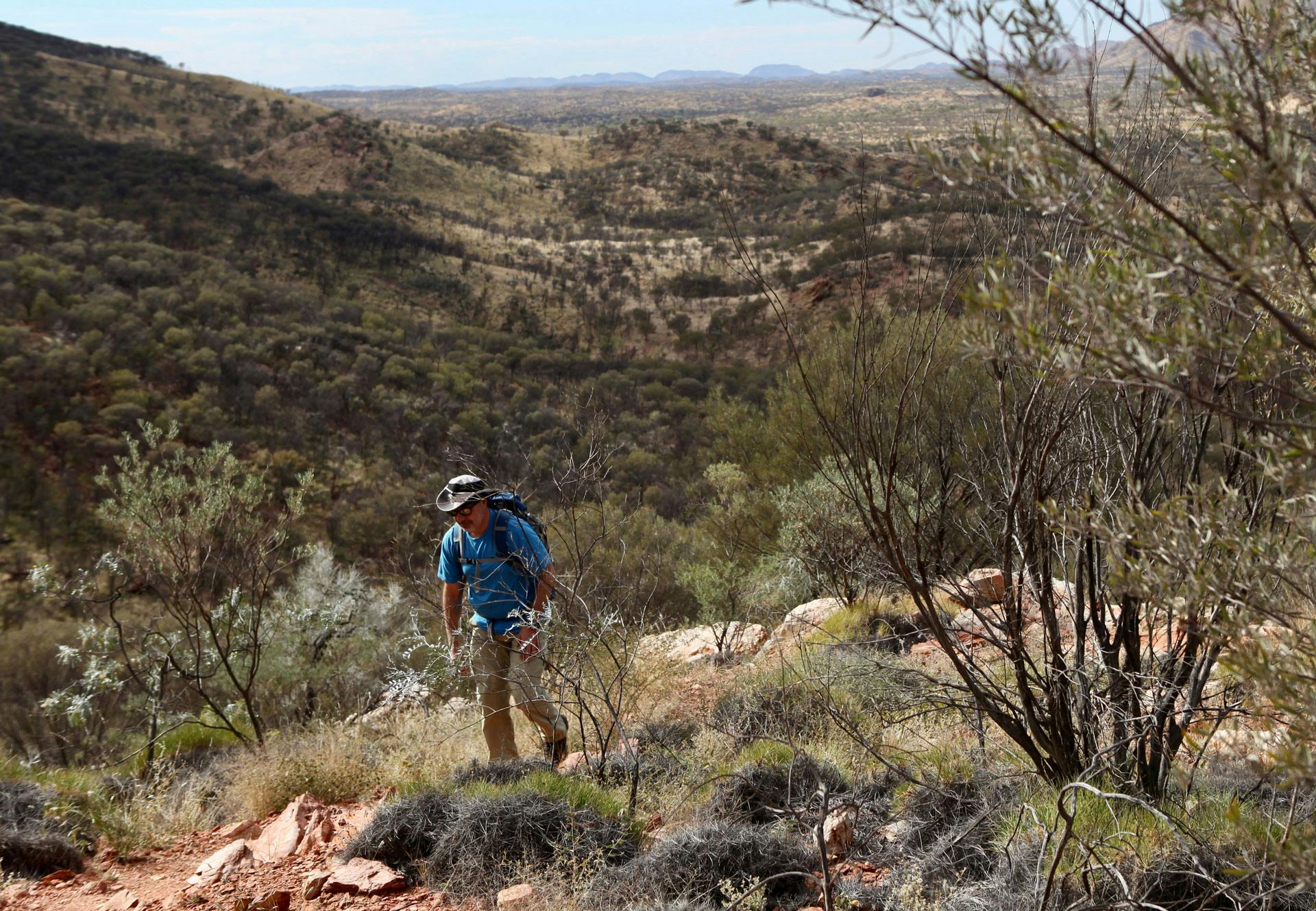 Person hiking on a trail - explore personal and team leadership possibilities with Larapinta Connect