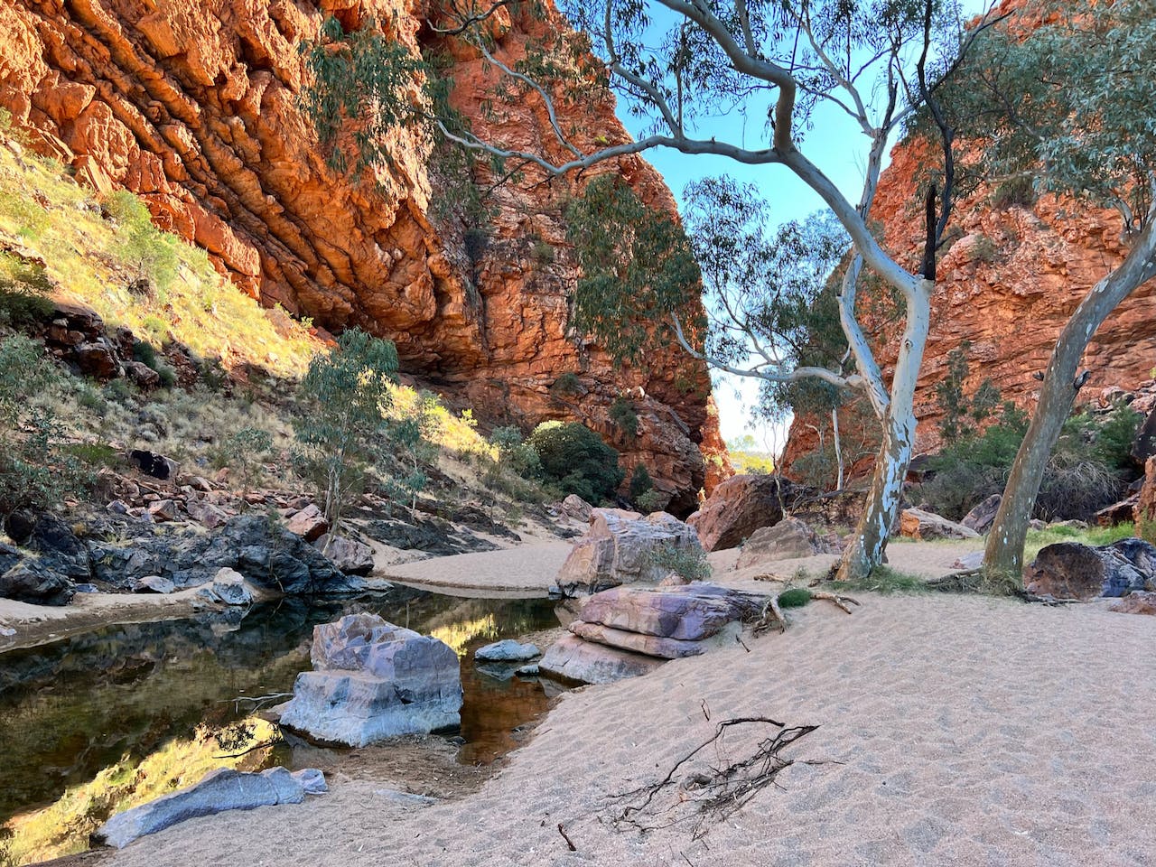 Red rock canyon with creek and trees - Walk along sections of the Larapinta trail