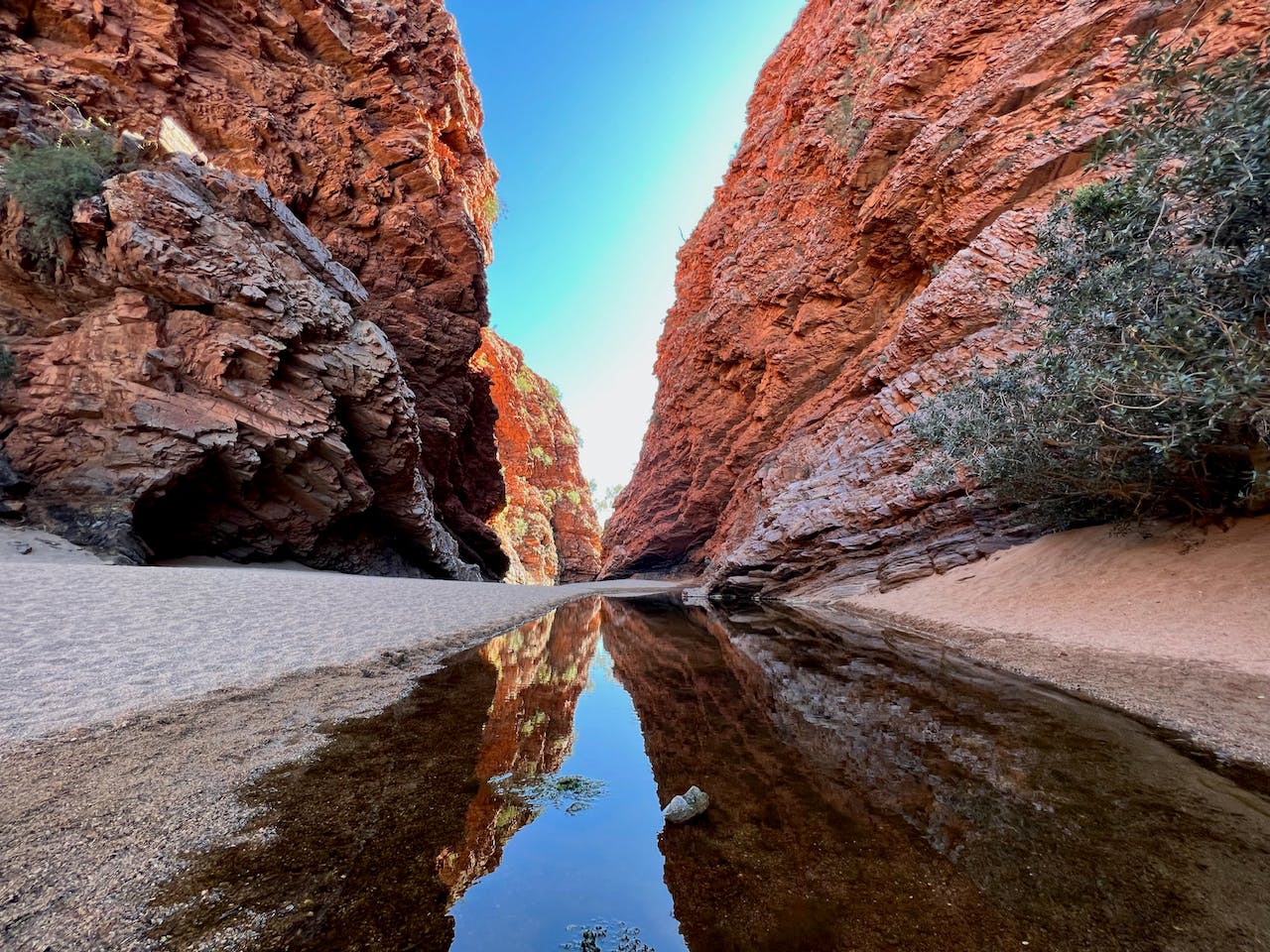 Red rock canyon with creek - Unique experience on the Larapinta Trail