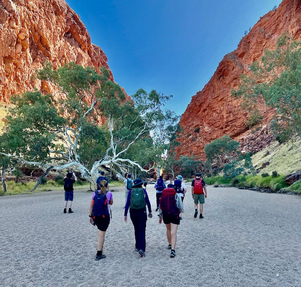 Group walking in red rock canyon - experience a unique team journey on the Larapinta Trail